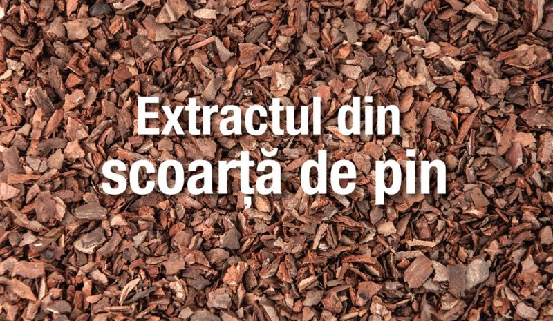 scoarta de pin